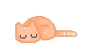 Sleeping cat