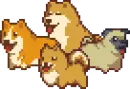 Dogs
