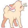 Lamb