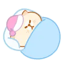 Sleeping cat