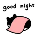 Good night cat