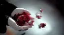hands with leaves blowing gif