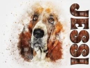 JESSI, BASSET HOUND, NAMES, PERSONAL, TEXT