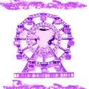 JoyrideAmethyst