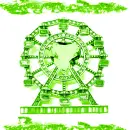 JoyridePeridot