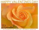 HAPPY VALENTINES DAY.. RAMESH, ROSE, HOLIDAYS, TEXT
