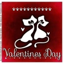 VALENTINES DAY, CATS, TEXT, HOLIDAYS
