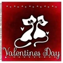 VALENTINES DAY, CATS, TEXT, HOLIDAYS
