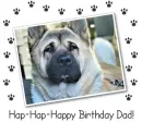HA-HAP-HAPPY BIRTHDAY DAD