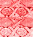 MoreLovexoxoGarnetxoxo