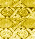 MoreLovexoxoGoldTopazxoxo