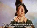 scarecrow saying some people without brains do an awful lot of talking