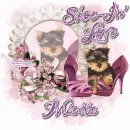 Mietta ~ fg
