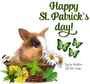St Patricks Day