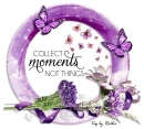Collect Moments Not Things