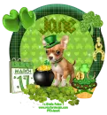 St. Patty's Chihuahua - Jane