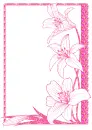 lily
