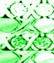 AWholeLotOfLovexoxoEmeraldxoxo