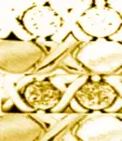 AWholeLotOfLovexoxoGoldTopazxoxo