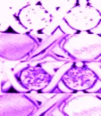 AWholeLotOfLovexoxoAmethystxoxo