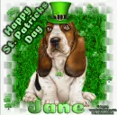 Happy St. Patricks Day Jane