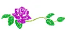 rose divider
