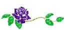 rose divider