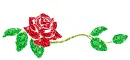 rose divider