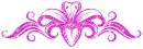 lilies divider