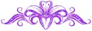lilies divider