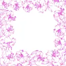 lilies