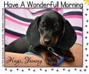 HAVE A WONDERFULL MORNING.. HUGS, TAMMY, PUPPY, CUTE, TEXT