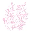 lilies
