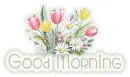 Good Morning (Spring Tulips)