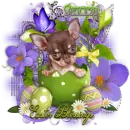 Easter Blessings ~ Shaki