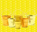 LikeSpringtimeMultigoldFruitAndVegetableHarvest