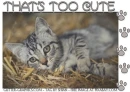 THAT'S TOO CUTE, KITTEN, ANIMALS, TEXT