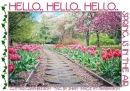 HELLO.. HELLO.. HELLO.. SPRING IS IN THE AIR