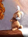 bunny