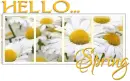 HELLO.. SPRING, SEASONAL, FLOWERS, TEXT