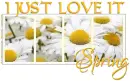 I JUST LOVE IT, SPRING, FLOWERS, TEXT, GG RELATED