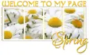 WELCOME TO MY PAGE.. SPRING, FLOWERS, SEASONAL, TEXT