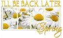 I'LL BE BACK LATER, FLOWERS, SEASONS, TEXT
