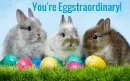 Eggstraordinary