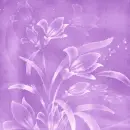 Spring ~ Background