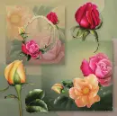 Spring ~ Background