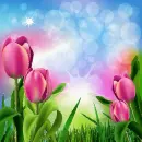 Spring ~ Background