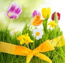 Spring ~ Background