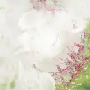 Spring ~ Background