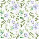 Spring ~ Background